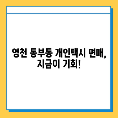 영천 동부동 개인택시 면허 매매 가격 & 자격조건| 오늘 시세 확인 | 월수입, 양수교육