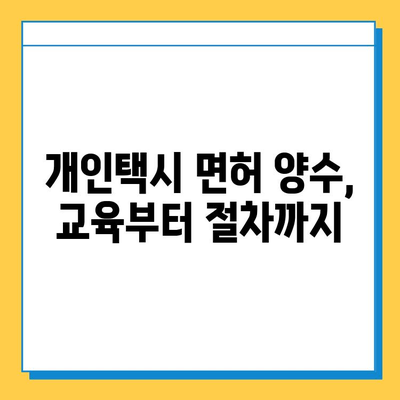 영천 동부동 개인택시 면허 매매 가격 & 자격조건| 오늘 시세 확인 | 월수입, 양수교육