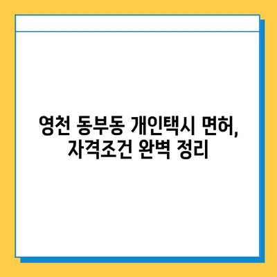 영천 동부동 개인택시 면허 매매 가격 & 자격조건| 오늘 시세 확인 | 월수입, 양수교육