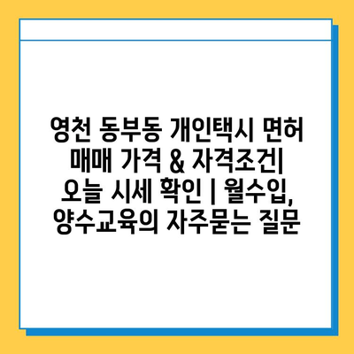 영천 동부동 개인택시 면허 매매 가격 & 자격조건| 오늘 시세 확인 | 월수입, 양수교육