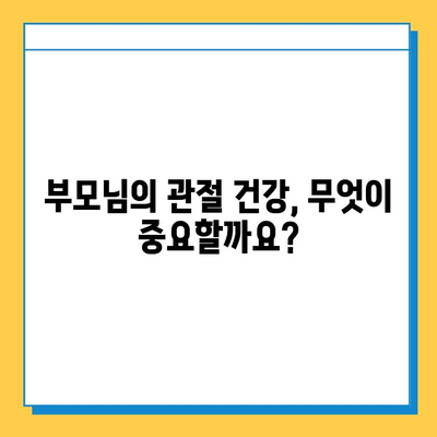 부모님 건강 선물, 관절 연골 영양제 추천 가이드 | 부모님 선물, 관절 건강, 연골 영양제, 건강식품