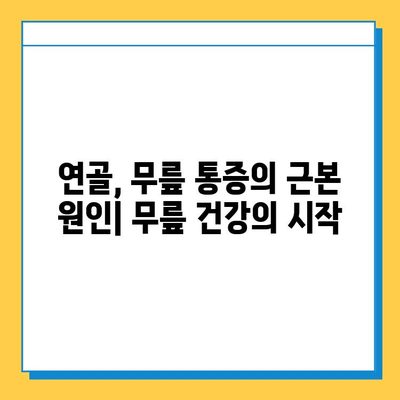 무릎 통증 완화를 위한 연골 관리의 중요성| 무릎 건강 지키는 핵심 전략 | 연골, 무릎 통증, 관절 건강, 운동, 식단