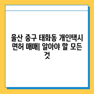 울산 중구 태화동 개인택시 면허 매매| 오늘 시세 & 넘버값 정보 | 자격조건, 월수입, 양수교육