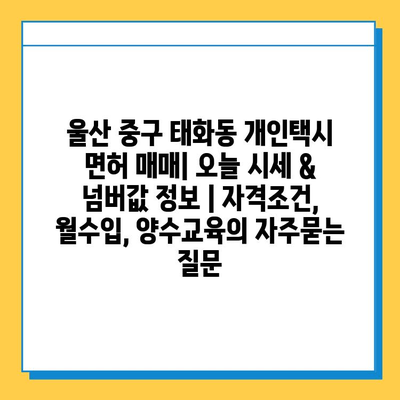 울산 중구 태화동 개인택시 면허 매매| 오늘 시세 & 넘버값 정보 | 자격조건, 월수입, 양수교육