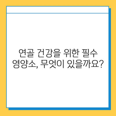 호주산 관절연골영양제 추천| 관절 건강 위한 영양 공급 | 관절 건강, 연골, 호주, 영양제, 건강 기능식품