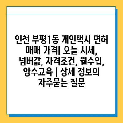 인천 부평1동 개인택시 면허 매매 가격| 오늘 시세, 넘버값, 자격조건, 월수입, 양수교육 | 상세 정보