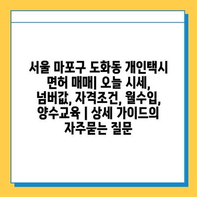 서울 마포구 도화동 개인택시 면허 매매| 오늘 시세, 넘버값, 자격조건, 월수입, 양수교육 | 상세 가이드