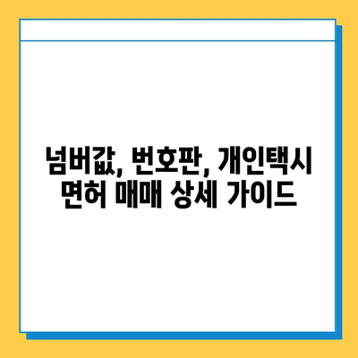 세종시 고운동 개인택시 면허 매매 가격| 오늘 시세 확인 & 자격조건, 월수입, 양수교육 정보 | 넘버값, 번호판, 상세 가이드