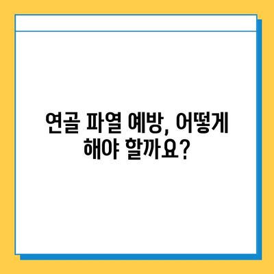 연골 파열, 가벼운 문제가 아니다| 증상, 원인, 치료 및 관리 | 연골 손상, 운동 부상, 재활