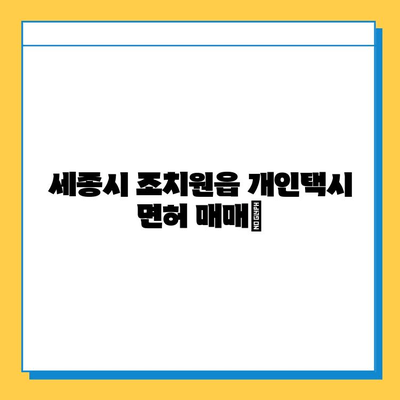 세종시 조치원읍 개인택시 면허 매매| 오늘 시세, 넘버값, 자격조건, 월수입, 양수교육 | 세종특별자치시, 택시 면허, 매매 가격