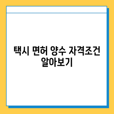 세종시 조치원읍 개인택시 면허 매매| 오늘 시세, 넘버값, 자격조건, 월수입, 양수교육 | 세종특별자치시, 택시 면허, 매매 가격