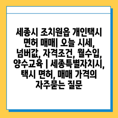 세종시 조치원읍 개인택시 면허 매매| 오늘 시세, 넘버값, 자격조건, 월수입, 양수교육 | 세종특별자치시, 택시 면허, 매매 가격