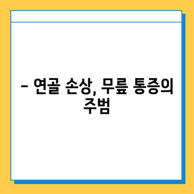 무릎 통증, 연골 임플란트가 해답일까요? | 무릎 통증 치료, 연골 손상, 관절염, 수술