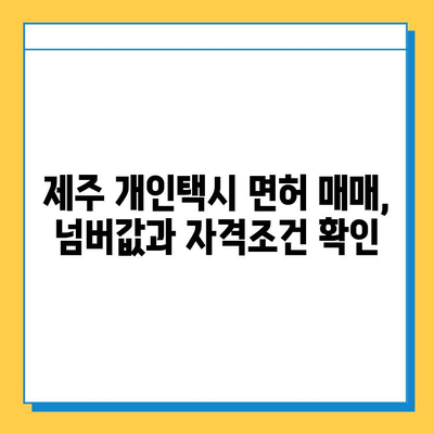 제주도 제주시 화북동 개인택시 면허 매매 가격| 오늘 시세 확인 & 넘버값, 자격조건, 월수입, 양수교육 | 상세 정보