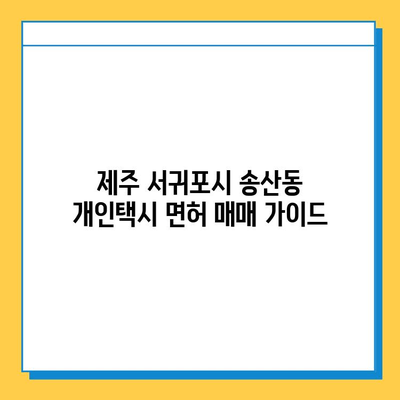 제주 서귀포시 송산동 개인택시 면허 매매| 오늘 시세, 넘버값, 자격조건, 월수입, 양수교육 정보 | 상세 가이드