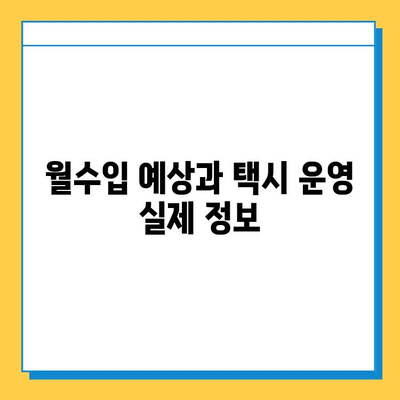 제주 서귀포시 송산동 개인택시 면허 매매| 오늘 시세, 넘버값, 자격조건, 월수입, 양수교육 정보 | 상세 가이드