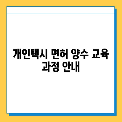 제주 서귀포시 송산동 개인택시 면허 매매| 오늘 시세, 넘버값, 자격조건, 월수입, 양수교육 정보 | 상세 가이드