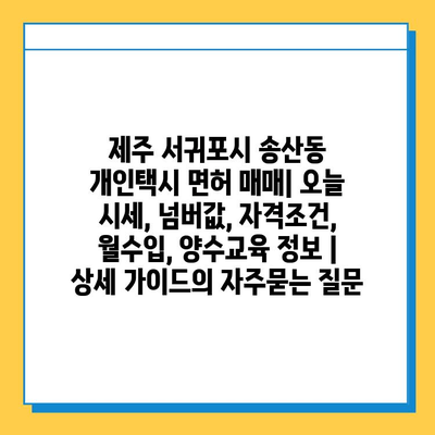 제주 서귀포시 송산동 개인택시 면허 매매| 오늘 시세, 넘버값, 자격조건, 월수입, 양수교육 정보 | 상세 가이드