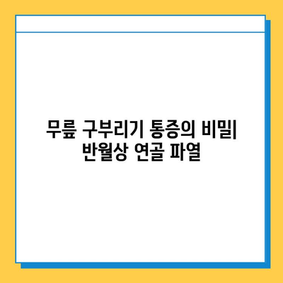 무릎 구부리기 통증의 원인| 반월상 연골 파열 증상, 진단, 치료 완벽 정리 | 무릎 통증, 운동, 재활, 전문의