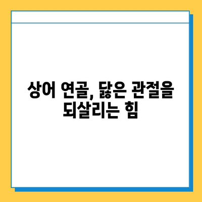 관절 염증 완화의 혁신| 상어 연골, 튼튼한 관절을 위한 새로운 선택 | 관절염, 연골 재생, 건강 기능성 식품, 통증 완화