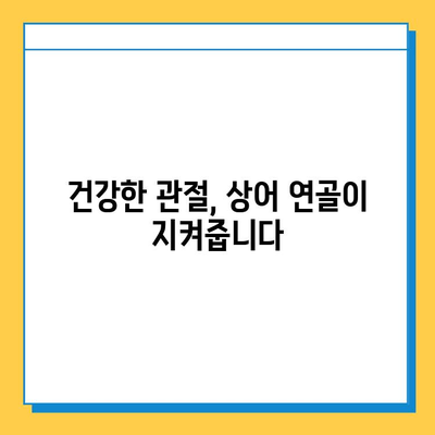 관절 염증 완화의 혁신| 상어 연골, 튼튼한 관절을 위한 새로운 선택 | 관절염, 연골 재생, 건강 기능성 식품, 통증 완화