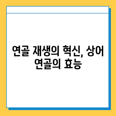 관절 염증 완화의 혁신| 상어 연골, 튼튼한 관절을 위한 새로운 선택 | 관절염, 연골 재생, 건강 기능성 식품, 통증 완화