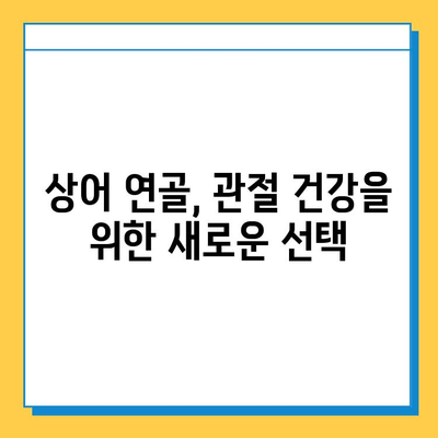 관절 염증 완화의 혁신| 상어 연골, 튼튼한 관절을 위한 새로운 선택 | 관절염, 연골 재생, 건강 기능성 식품, 통증 완화