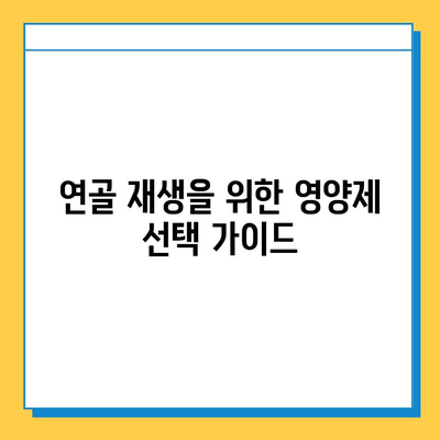 무릎 연골 건강을 위한 효과적인 영양제 선택 가이드 | 무릎 통증, 연골 재생, 관절 건강