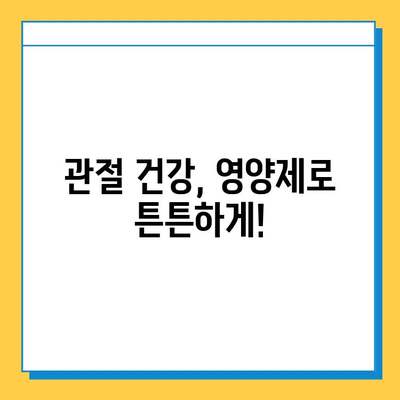 무릎 연골 건강을 위한 효과적인 영양제 선택 가이드 | 무릎 통증, 연골 재생, 관절 건강