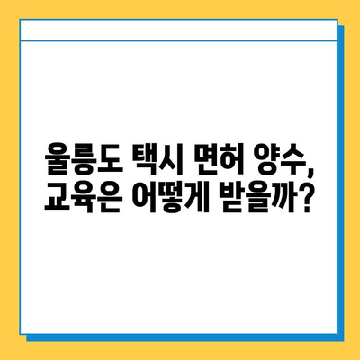 울릉도 개인택시 면허, 오늘 시세는? | 넘버값, 자격조건, 월수입, 양수교육