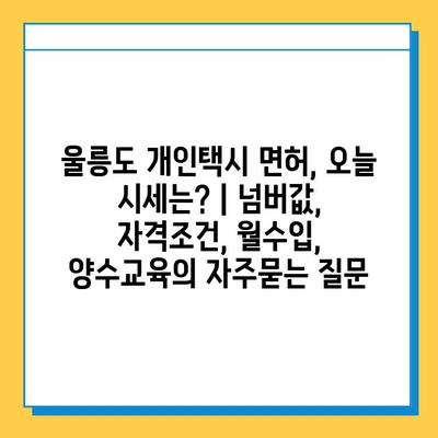 울릉도 개인택시 면허, 오늘 시세는? | 넘버값, 자격조건, 월수입, 양수교육