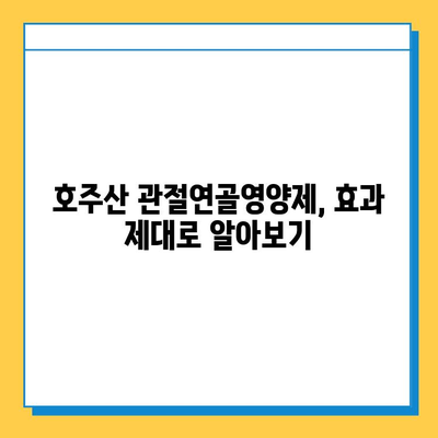 호주산 관절연골영양제 후기 & 콘드로이친 추천| 효과, 제품 비교, 구매 가이드 | 관절 건강, 연골 재생, 영양제 추천