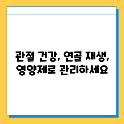 호주산 관절연골영양제 후기 & 콘드로이친 추천| 효과, 제품 비교, 구매 가이드 | 관절 건강, 연골 재생, 영양제 추천