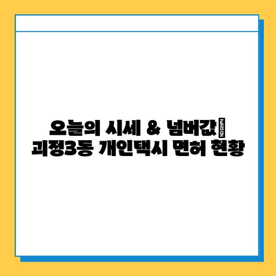 부산 사하구 괴정3동 개인택시 면허 매매 가격| 오늘 시세, 넘버값, 자격조건, 월수입, 양수교육 | 상세 정보