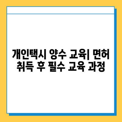 부산 사하구 괴정3동 개인택시 면허 매매 가격| 오늘 시세, 넘버값, 자격조건, 월수입, 양수교육 | 상세 정보