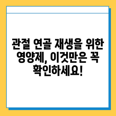 관절 건강 지키는 영양제 선택 가이드| 관절연골 영양제 고르는 기준과 효과적인 섭취 방법 | 관절 건강, 연골 재생, 영양제 추천, 섭취 가이드