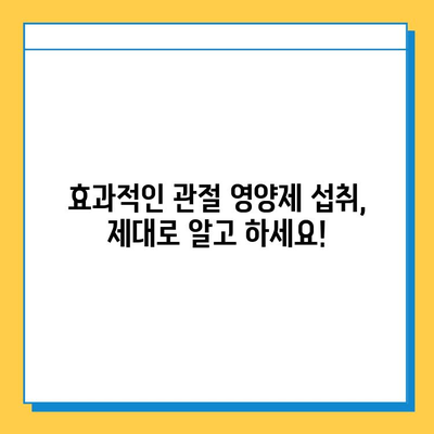 관절 건강 지키는 영양제 선택 가이드| 관절연골 영양제 고르는 기준과 효과적인 섭취 방법 | 관절 건강, 연골 재생, 영양제 추천, 섭취 가이드