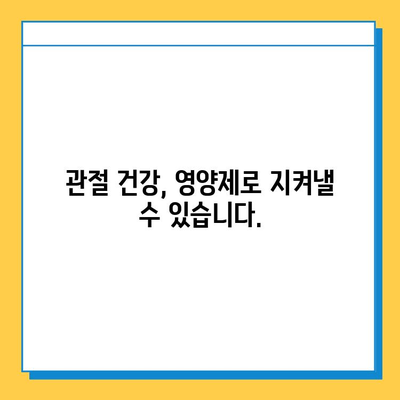 관절 건강 지키는 영양제 선택 가이드| 관절연골 영양제 고르는 기준과 효과적인 섭취 방법 | 관절 건강, 연골 재생, 영양제 추천, 섭취 가이드