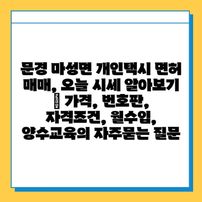 문경 마성면 개인택시 면허 매매, 오늘 시세 알아보기 | 가격, 번호판, 자격조건, 월수입, 양수교육