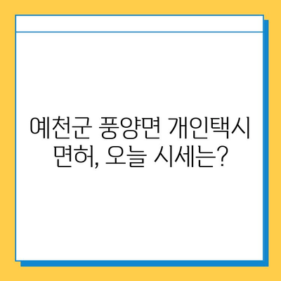 경상북도 예천군 풍양면 개인택시 면허 매매 가격| 오늘 시세 확인 및 정보 총정리 | 번호판, 넘버값, 자격조건, 월수입, 양수교육