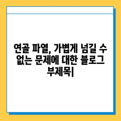 연골 파열, 가볍게 넘길 수 없는 문제| 증상, 원인, 치료 및 예방 | 연골 손상, 관절 통증, 운동 제한, 재활