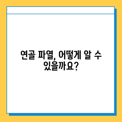 연골 파열, 가볍게 넘길 수 없는 문제| 증상, 원인, 치료 및 예방 | 연골 손상, 관절 통증, 운동 제한, 재활