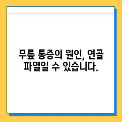 연골 파열, 가볍게 넘길 수 없는 문제| 증상, 원인, 치료 및 예방 | 연골 손상, 관절 통증, 운동 제한, 재활