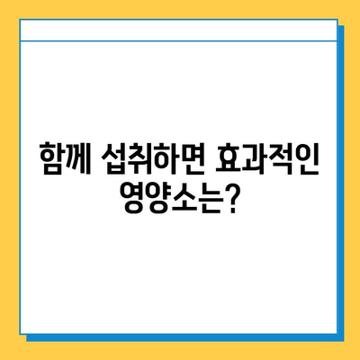 연골 재생 영양제 선택 가이드| 나에게 맞는 제품 찾는 5가지 기준 | 연골 건강, 관절 건강, 영양제 추천