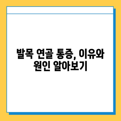 발목 연골 통증, 이제 걱정하지 마세요! | 발목 연골 관리, 통증 완화 팁, 운동법, 예방