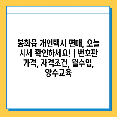 봉화읍 개인택시 면허 매매, 오늘 시세 확인하세요! | 번호판 가격, 자격조건, 월수입, 양수교육