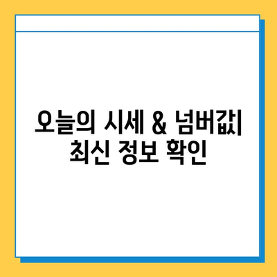 전라북도 정읍시 산내면 개인택시 면허 매매| 오늘 시세 & 넘버값 | 자격조건, 월수입, 양수교육