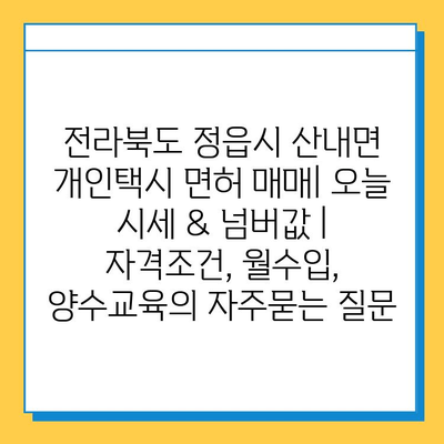 전라북도 정읍시 산내면 개인택시 면허 매매| 오늘 시세 & 넘버값 | 자격조건, 월수입, 양수교육