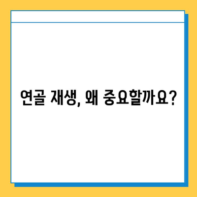 연골 재생 영양제 선택, 딱 3가지 이유만 알면 끝! | 연골 건강, 관절 건강, 영양제 추천