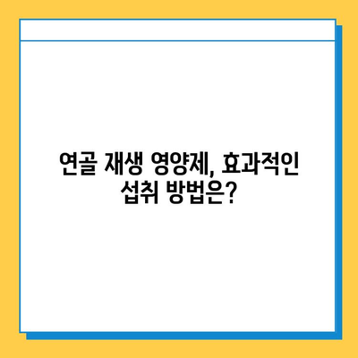 연골 재생 영양제 선택, 딱 3가지 이유만 알면 끝! | 연골 건강, 관절 건강, 영양제 추천